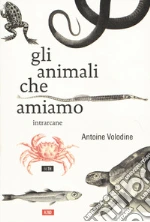 Volodine Antoine