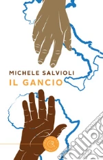 Salvioli Michele
