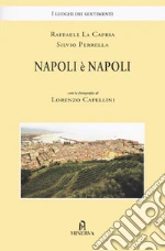 La Capria Raffaele; Perrella Silvio
