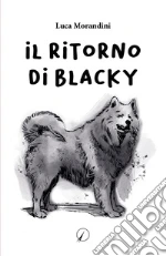 Morandini Luca