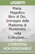Casini C. (cur.); Nannipieri S. (cur.); Orlandi F. (cur.)