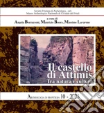 Borzacconi A. (cur.); Buora M. (cur.); Lavarone M. (cur.)