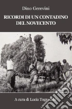 Gerevini Dino; Tognocchi L. (cur.)