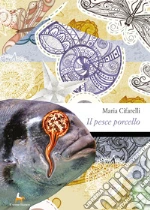 Cifarelli Maria