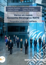 Natalizia Gabriele; Termine Lorenzo; Carteny Andrea; Tosti Di Stefano E. (cur.)