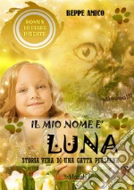 Amico Beppe