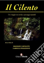Capolupo Maurizio; Pellizzoni Gabriele