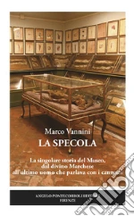 Vannini Marco