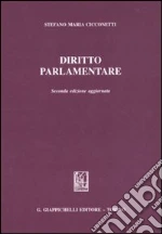 Cicconetti Stefano Maria