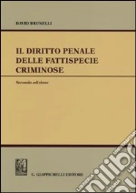 Brunelli David