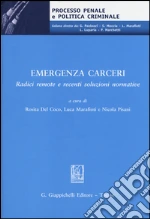 Del Coco R. (cur.); Marafioti L. (cur.); Pisani N. (cur.)