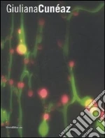 Iovane G. (cur.); Putnam J. (cur.); Risaliti S. (cur.)