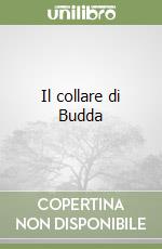 Boito Camillo