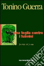 Guerra Tonino