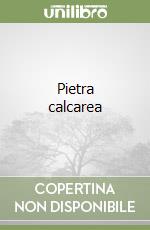 Stifter Adalbert; De Angelis E. (cur.)