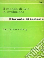 Schoonenberg Piet