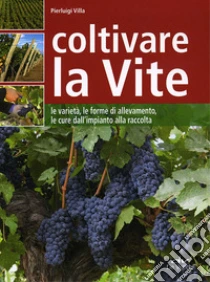 Coltivare la vite. Le varietà, le forme di allevamento, le cure dall'impianto alla raccolta libro di Villa Pierluigi
