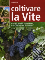 Coltivare la vite. Le varietà, le forme di allevamento, le cure dall'impianto alla raccolta libro di Villa Pierluigi