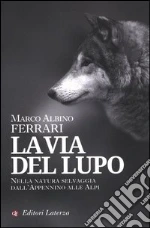 Ferrari Marco Albino