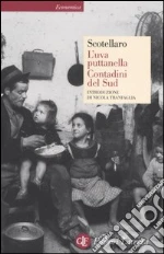 Scotellaro Rocco