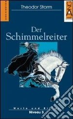 Der Schimmelreiter libro di Storm H. Theodor