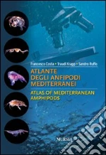 Costa Francesco; Ruffo Sandro; Krapp Traudl