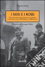 Fabei Stefano