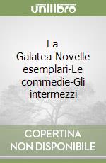 Cervantes Miguel de; Meregalli F. (cur.)