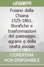 Borchi Stefano; Goti Oriana; Nassini Carla; Amministrazione Comunale Foiano della Chiana (cur.)