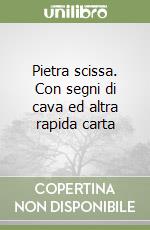 Cara Domenico