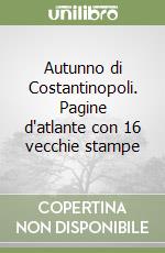 Borgese Giuseppe A.; Meda A. (cur.)
