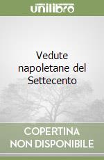 Spinosa Nicola; Di Mauro Leonardo; Soprintendenza beni artistici e storici di Napoli (cur.)