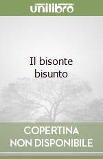 Roncaglia Silvia