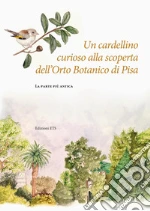 Diara Valentina; Grasso Valentina; Peruzzi Lorenzo