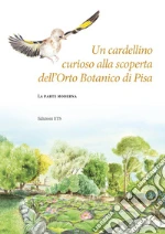Diara Valentina; Grasso Valentina; Peruzzi Lorenzo