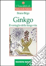 Brigo Bruno