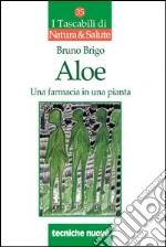 Brigo Bruno