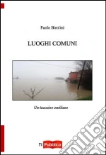 Birolini Paolo