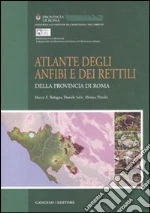 Bologna M. A. (cur.); Salvi D. (cur.); Pitzalis M. (cur.)