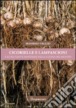 Vaglio Massimo