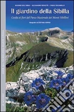 Dell'Orso Massimo; Rossetti Alessandro; Tescarollo Paolo