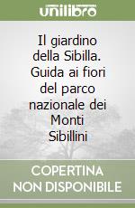 Dell'Orso Massimo - Rossetti Alessandro - Tescarollo Paolo