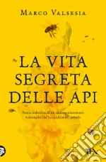 Valsesia Marco