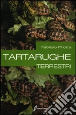 Pirotta Fabrizio