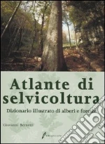 Bernetti Giovanni