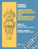 Barone Roberto; Bortolami Ruggero