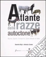 Bigi Daniele; Zanon Alessio