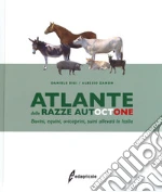 Bigi Daniele; Zanon Alessio
