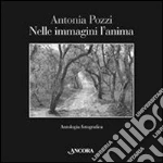 Pozzi Antonia; Dino O. (cur.); Pellegatta L. (cur.)