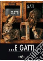 Gatti, gatti... e gatti libro di Scipioni Angela